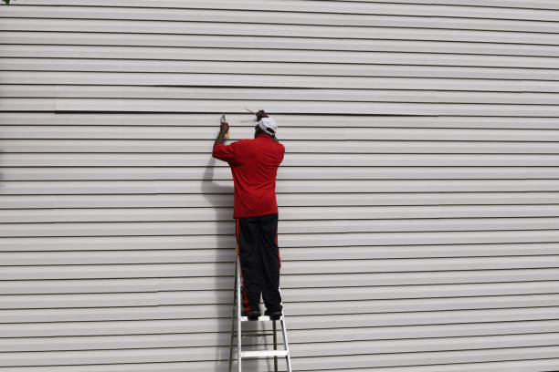 Best Vinyl Siding Installation  in San Fernando, CA